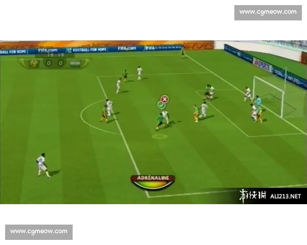 世界杯足球赛简介与历史发展概况探析